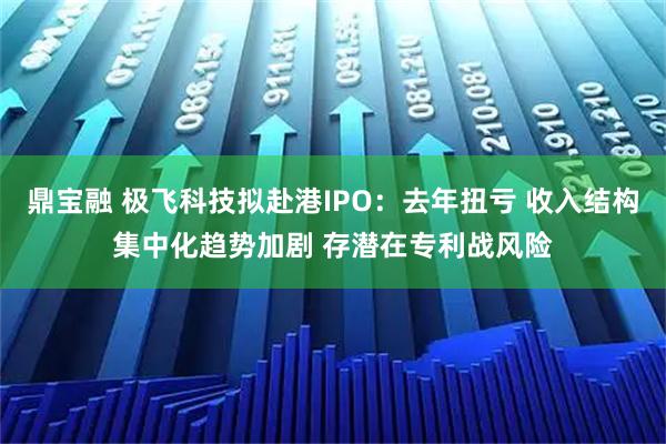 鼎宝融 极飞科技拟赴港IPO:去年扭亏 收入结构集中化趋势加剧 存潜在专利战风险