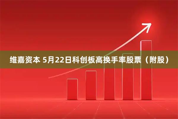 维嘉资本 5月22日科创板高换手率股票(附股)