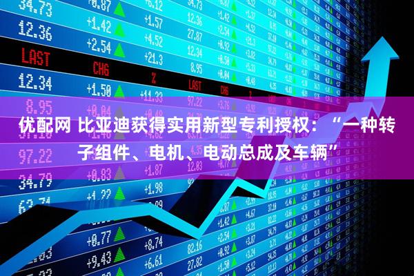 优配网 比亚迪获得实用新型专利授权：“一种转子组件、电机、电动总成及车辆”