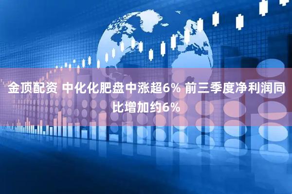 金顶配资 中化化肥盘中涨超6% 前三季度净利润同比增加约6%
